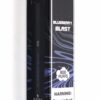 Blueberry Blast - XL Disposable NIX BAR (600 puffs)